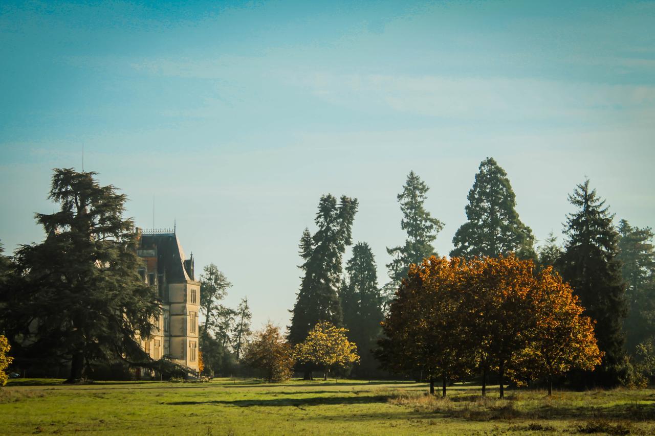 Chateau Le Boisrenault Buzancais Екстер'єр фото