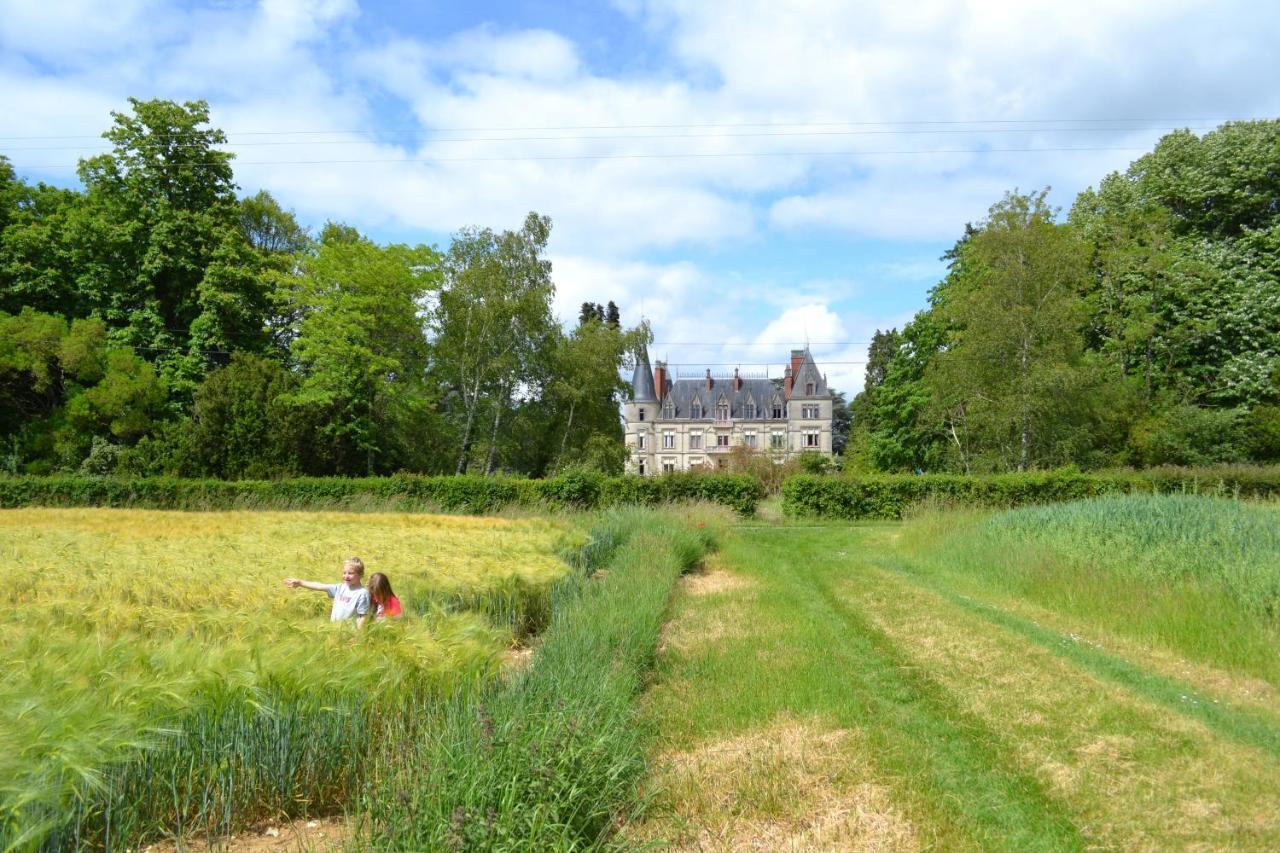 Chateau Le Boisrenault Buzancais Екстер'єр фото